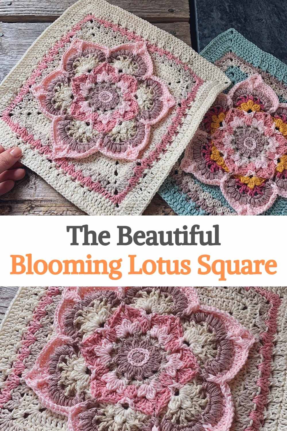 The Beautiful Blooming Lotus Square