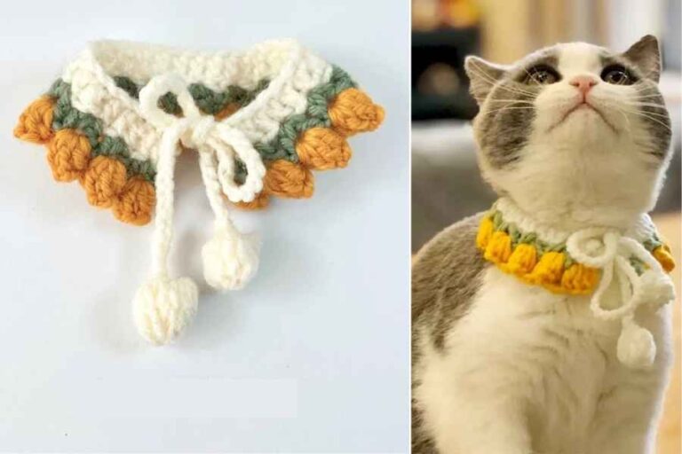 Amazing! How to Crochet Pet Collar