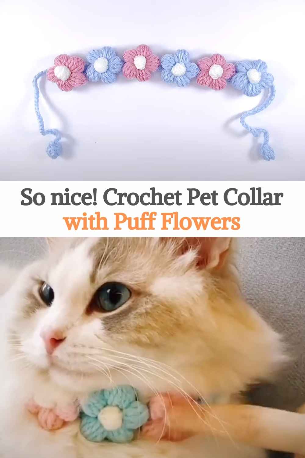 So nice! Crochet Pet Collar with Puff Flowers