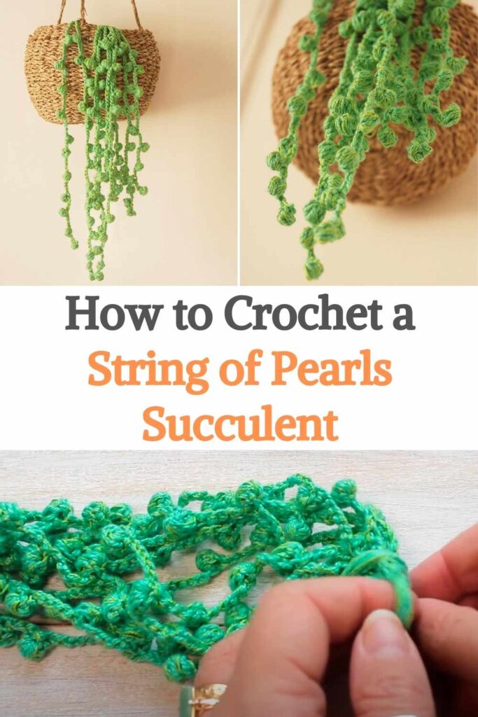 Purl the String of Pearls Plant, Learn to Crochet Kit