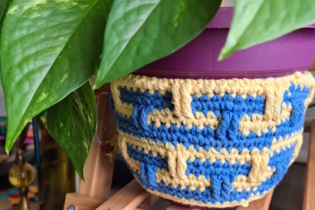 Elevate Your Home Decor! How To Crochet Plant Pot Cover