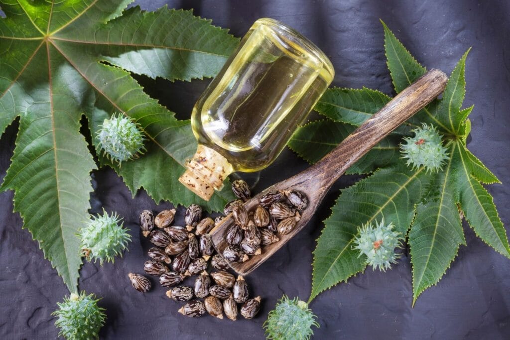How to Consume Castor Oil