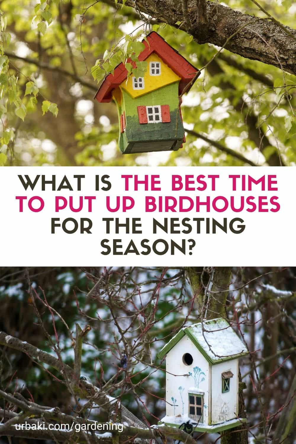 What Is the Best Time to Put Up Birdhouses for the Nesting Season