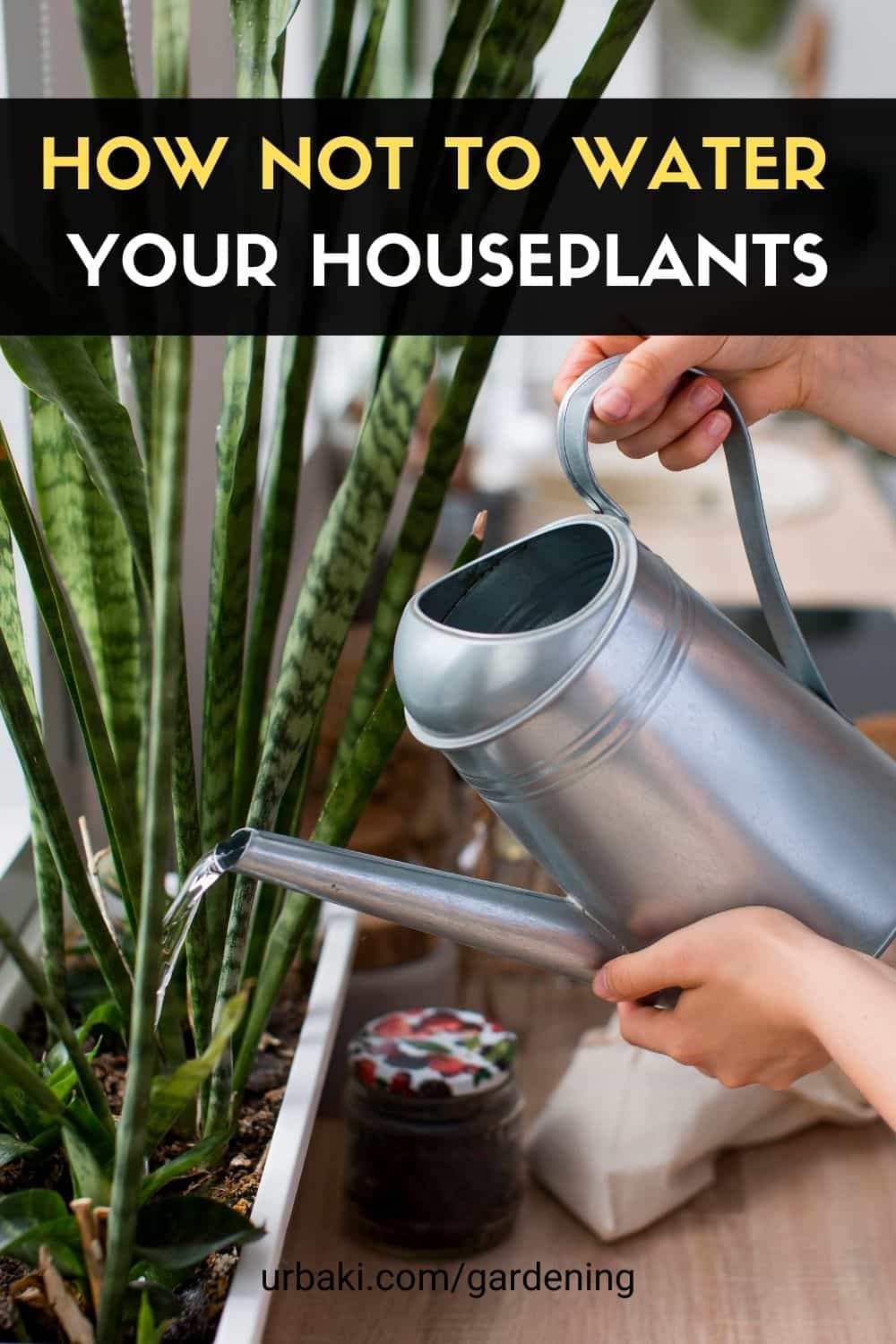 NOT to Water Your Houseplants