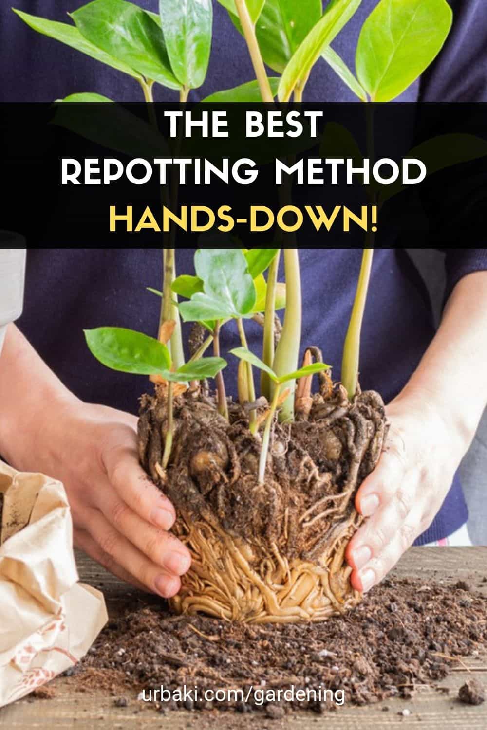 Repotting Method