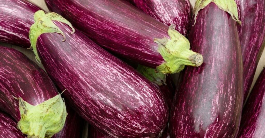 Grow Eggplant