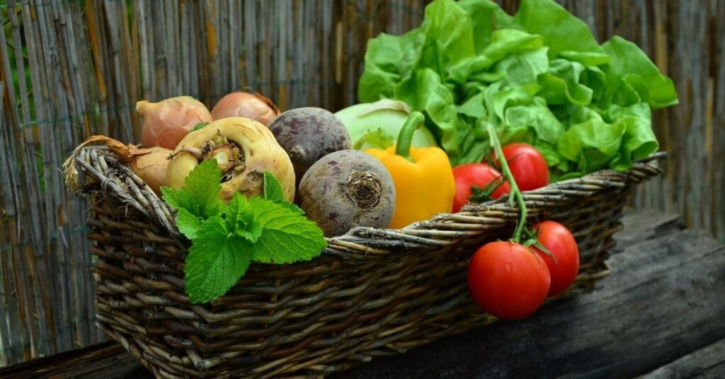 Veggies To Grow In Shade