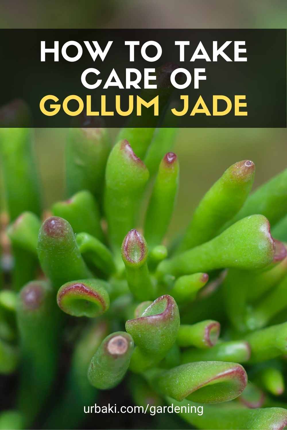 Gollum Jade
