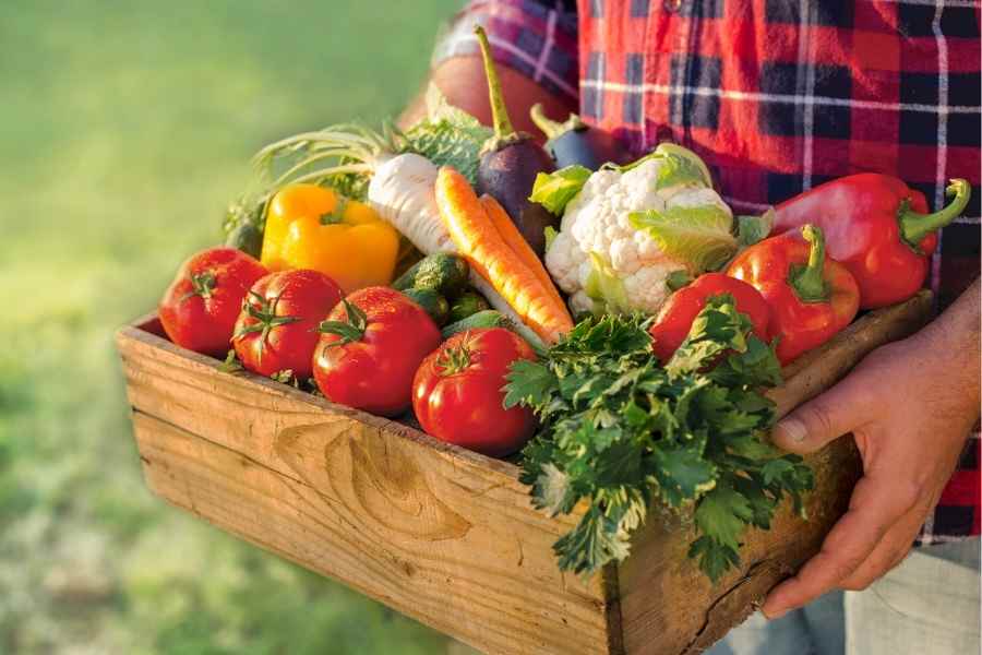 Garden's Productivity