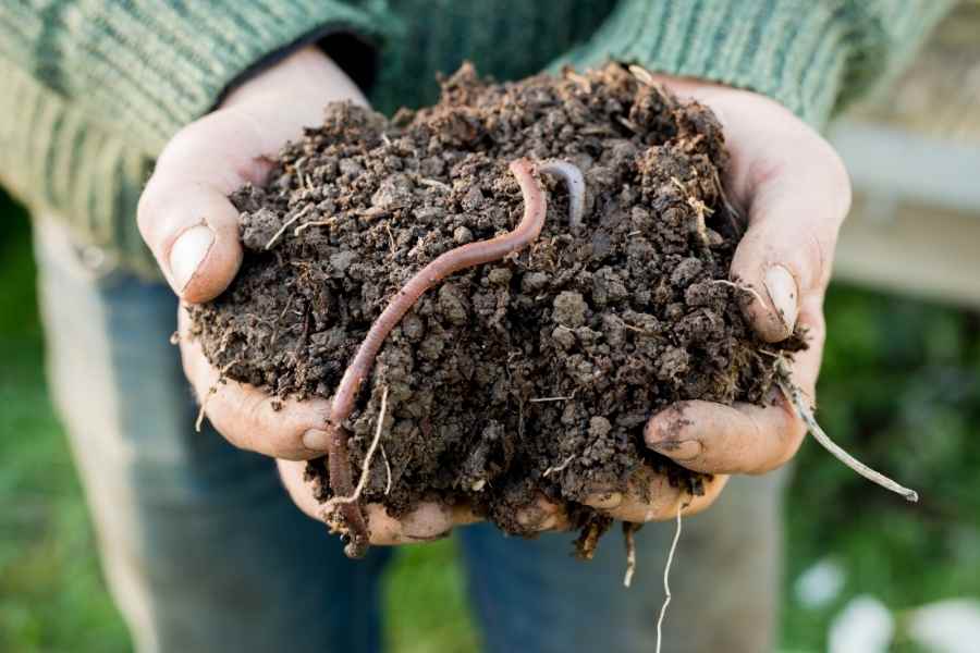 Attract More Earthworms