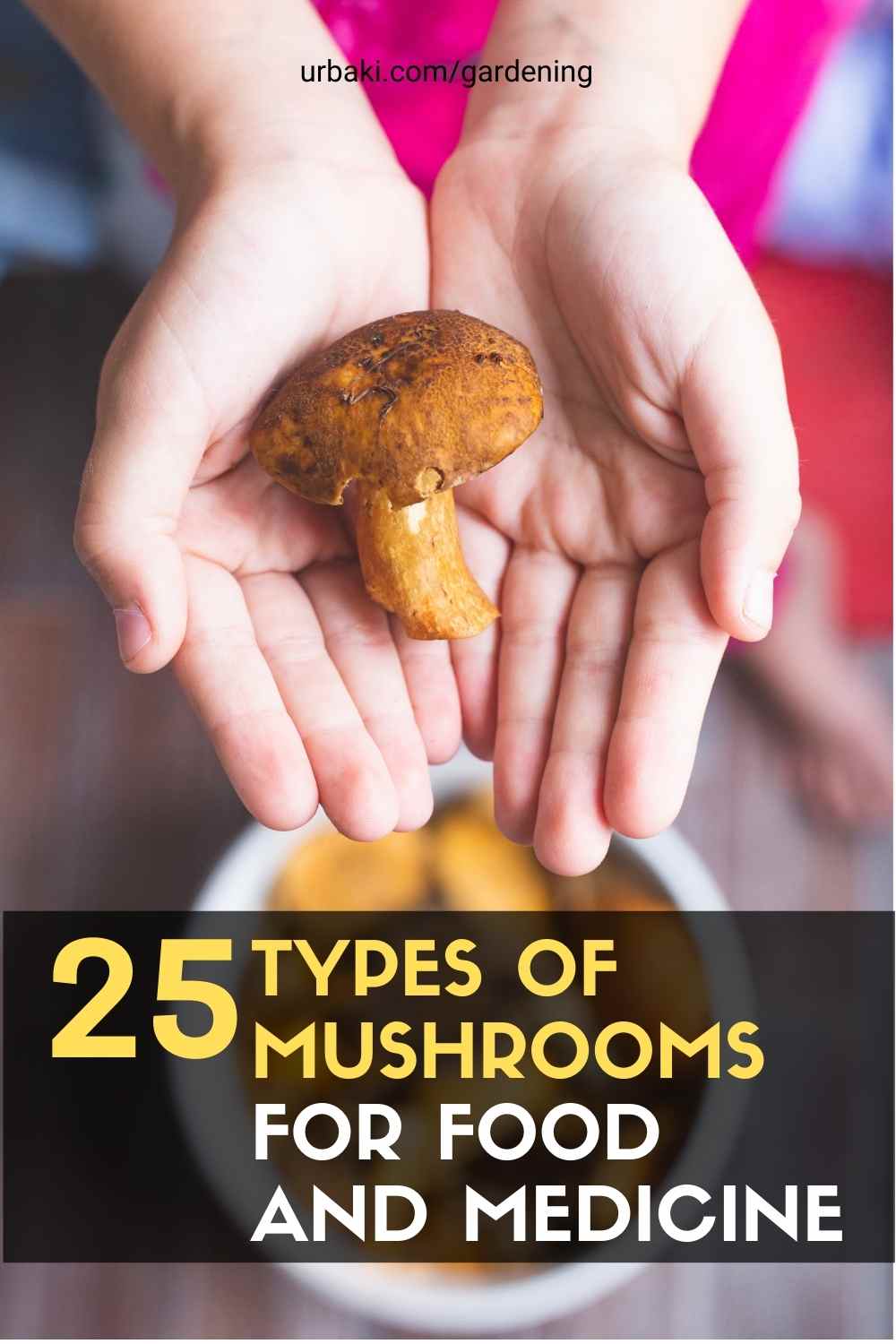 25 Types of Mushrooms