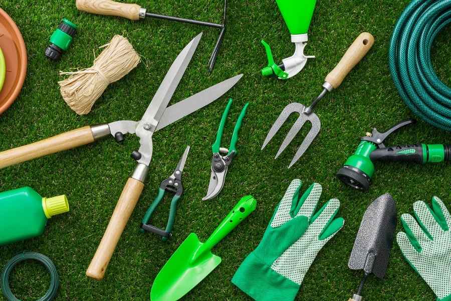 Planning a Vegetable Garden