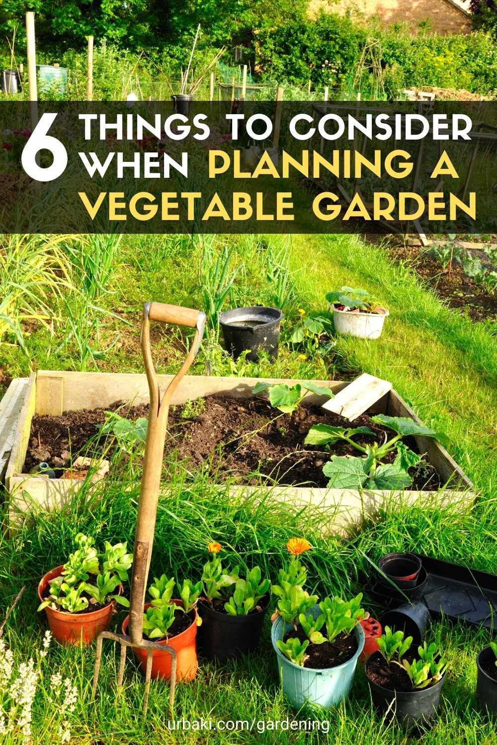 Planning a Vegetable Garden