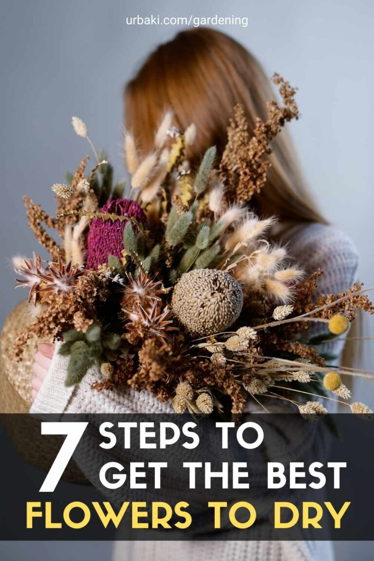 7 Steps to Get the Best Flowers to Dry