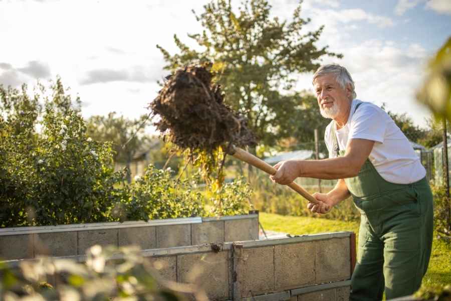 Permaculture Garden