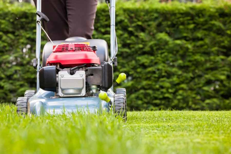 Growing a Green Lawn