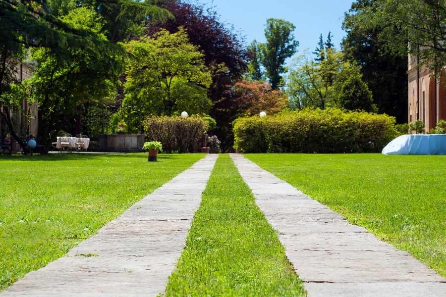 Growing a Green Lawn