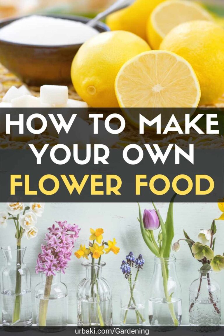 How to Make Your Own Flower Food