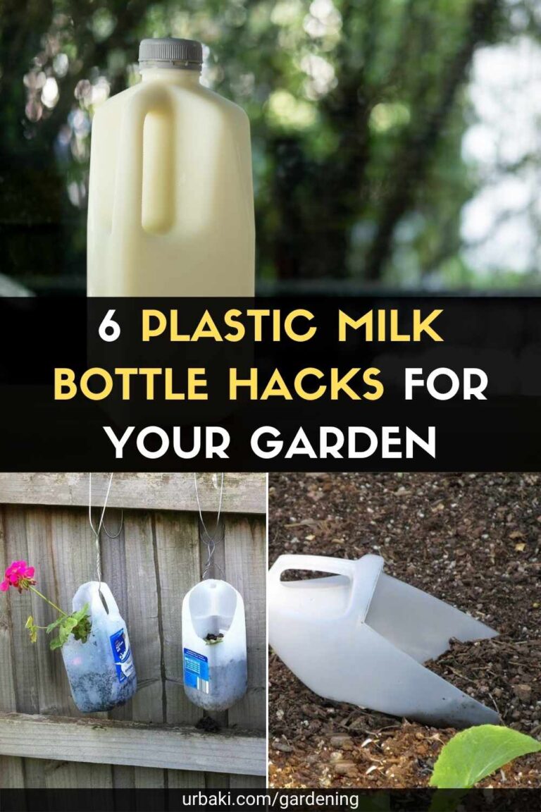 6 Plastic Milk Bottle Hacks for Your Garden