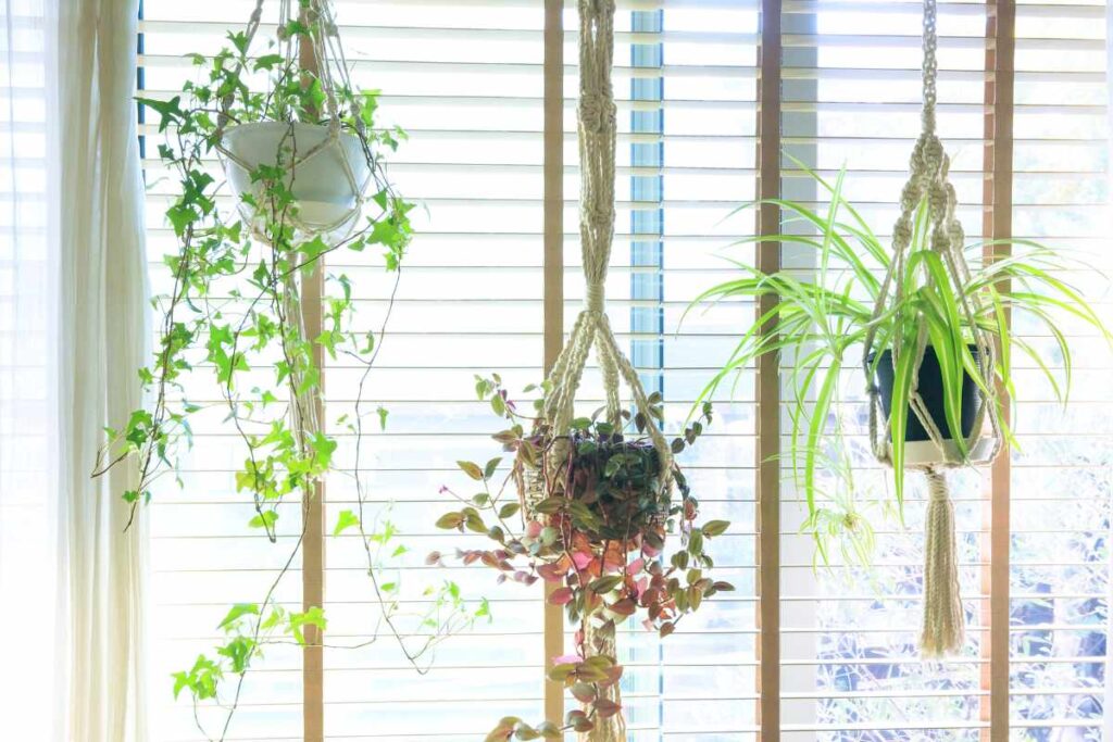 DIY Indoor Hanging Planters to Refresh Your Home