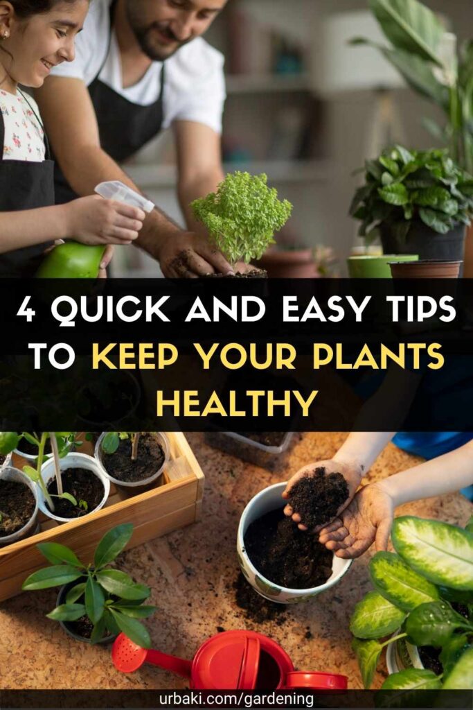 4 Quick and Easy Tips to Keep Your Plants Healthy