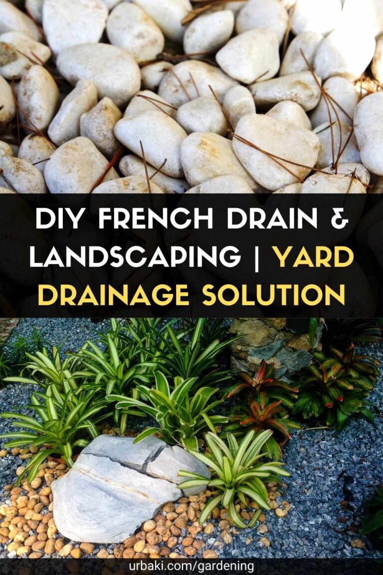 DIY French Drain & Landscaping | Yard Drainage Solution