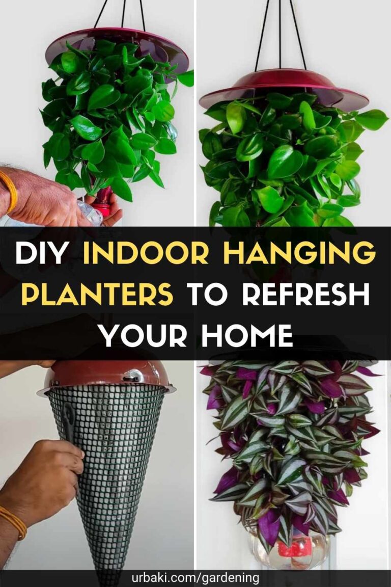 DIY Indoor Hanging Planters to Refresh Your Home