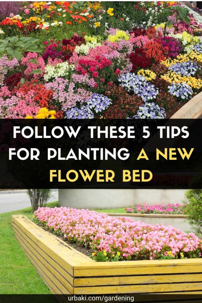 Follow These 5 Tips for Planting a New Flower Bed