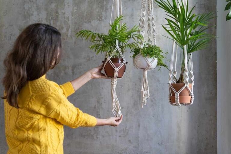 5 Unique DIY Ideas for Hanging Plants Indoors