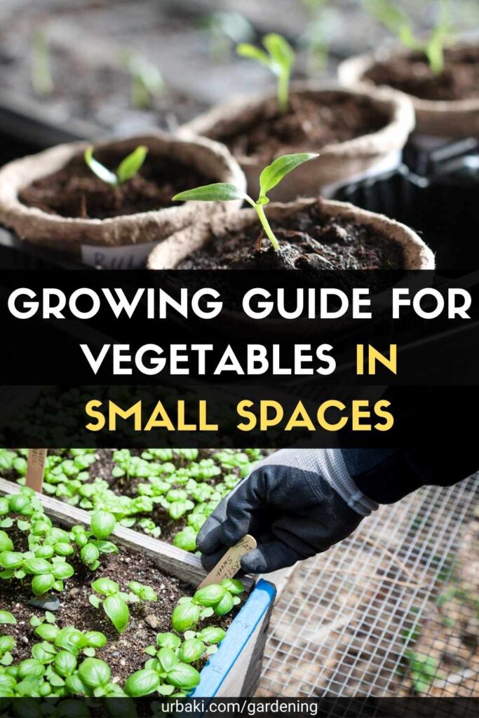 Picture of Growing Guide for Vegetables In Small Spaces