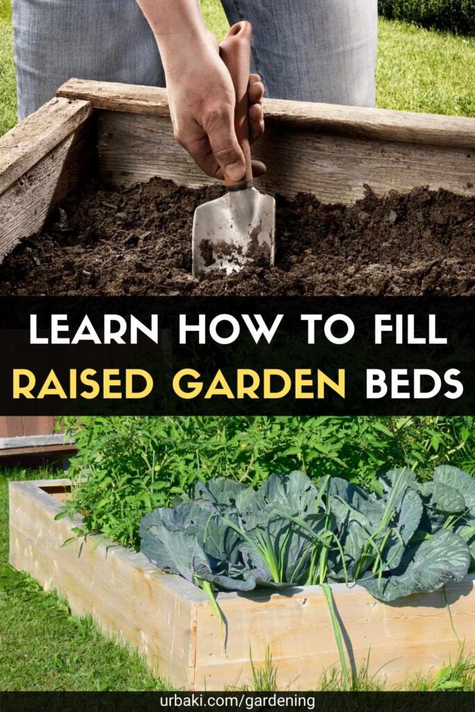 Learn How to Fill Raised Garden Beds