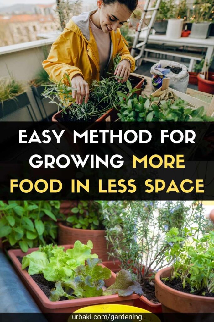 Easy Method for Growing More Food in Less Space