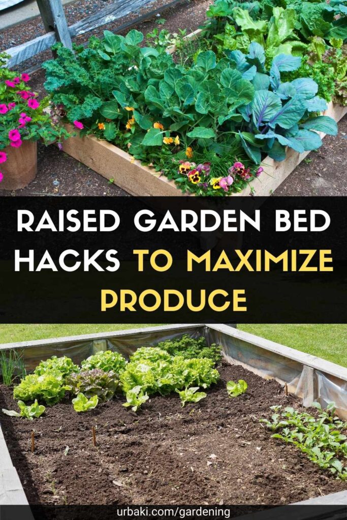 Raised Garden Bed Hacks To Maximize Produce