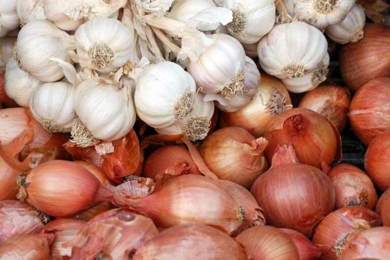 8 Tips to Grow Perfect Onions, Garlic, and Leeks