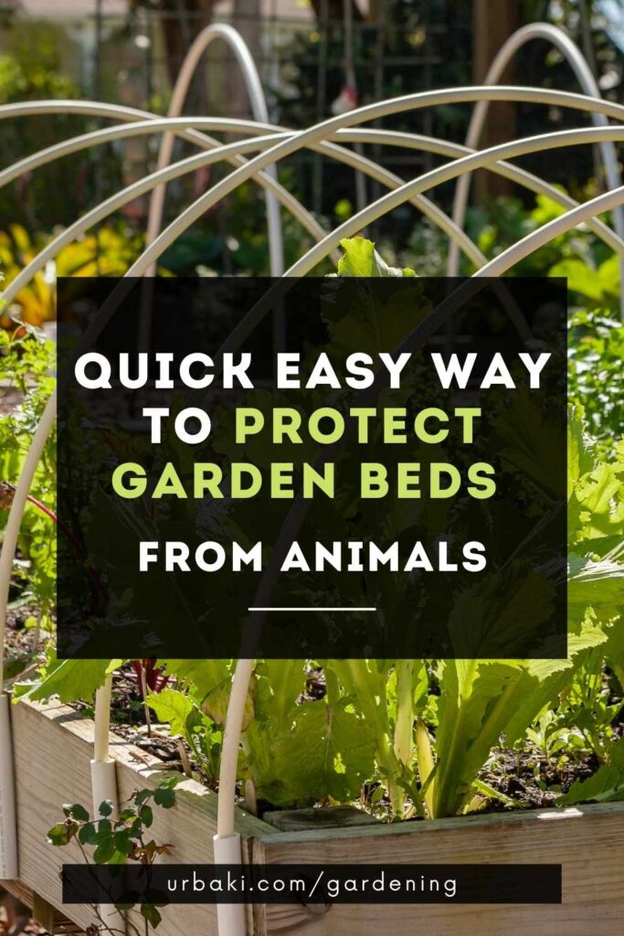 Quick Easy Way to Protect Garden Beds From Animals