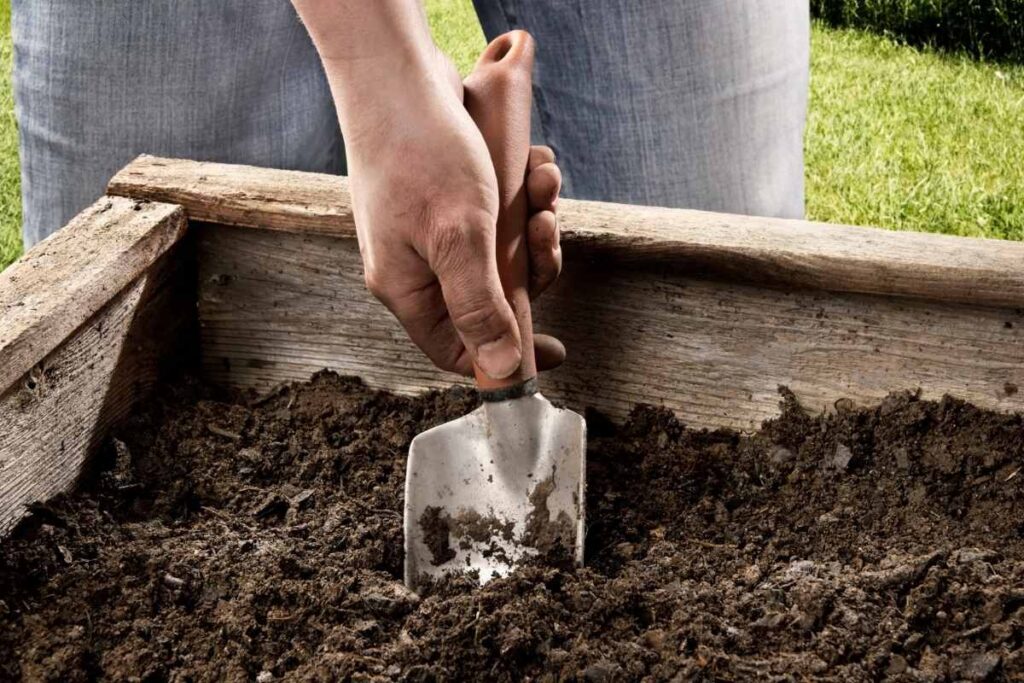 How to Refresh Soil in Raised Beds