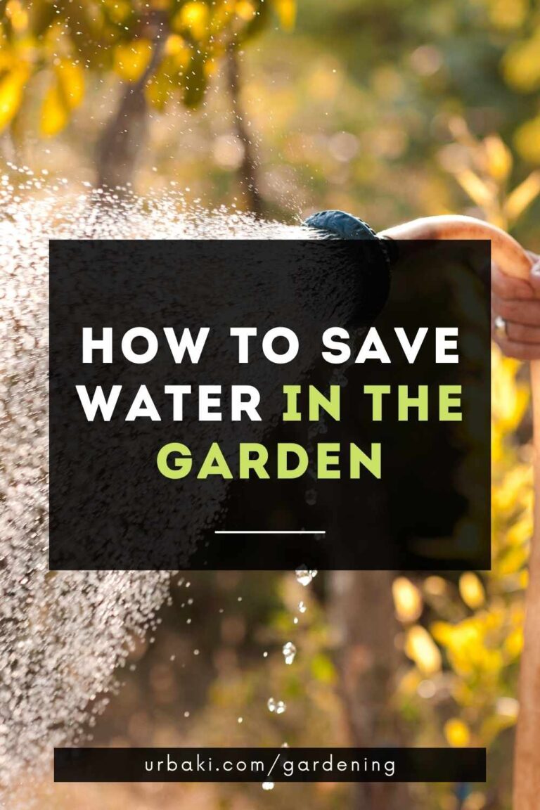 How to Save Water in The Garden