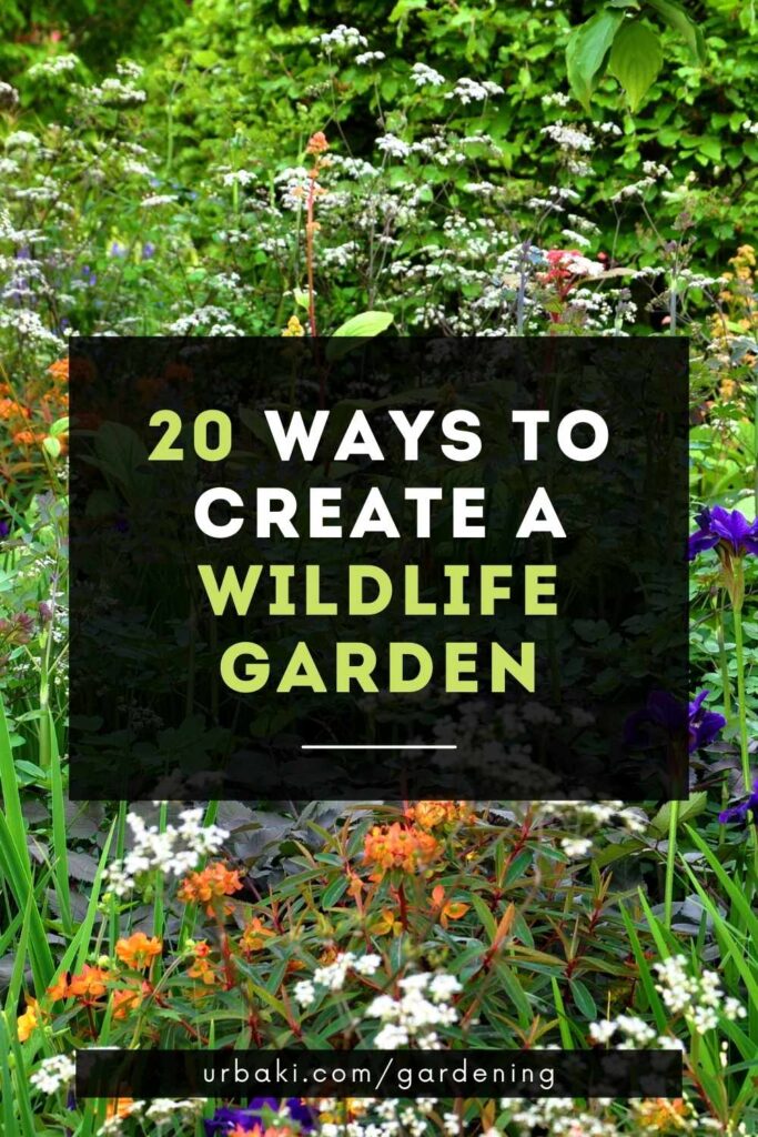 20 Ways to Create a Wildlife Garden