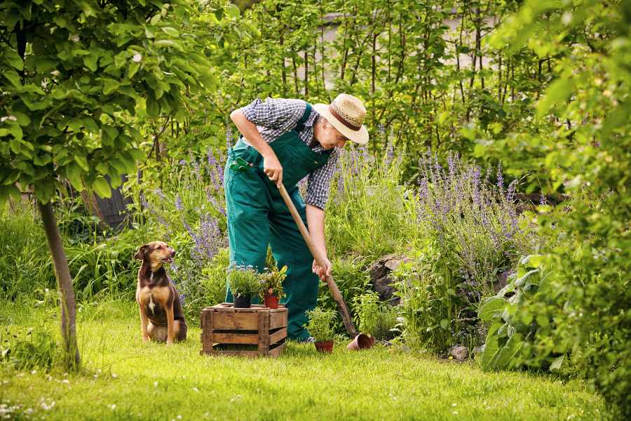 Gardening Genius: 10 Hacks for a Better Garden This Year