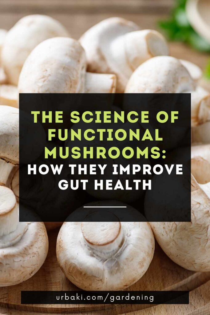 The Science of Functional Mushrooms How they Improve Gut Health