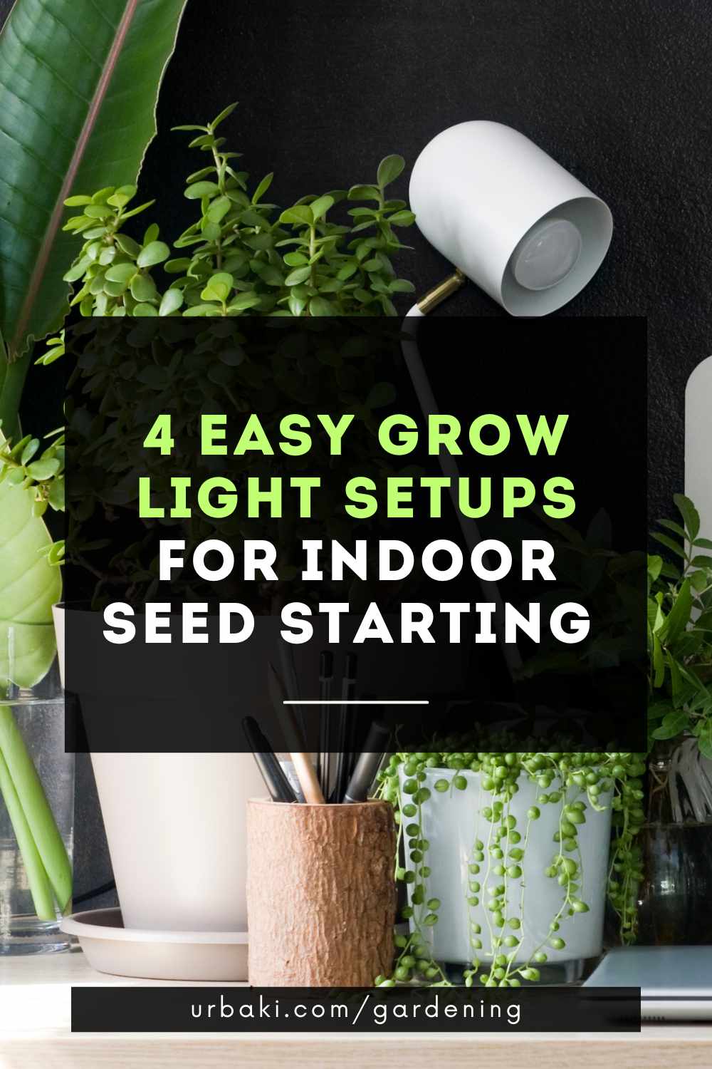 4 Easy Grow Light Setups for Indoor Seed Starting