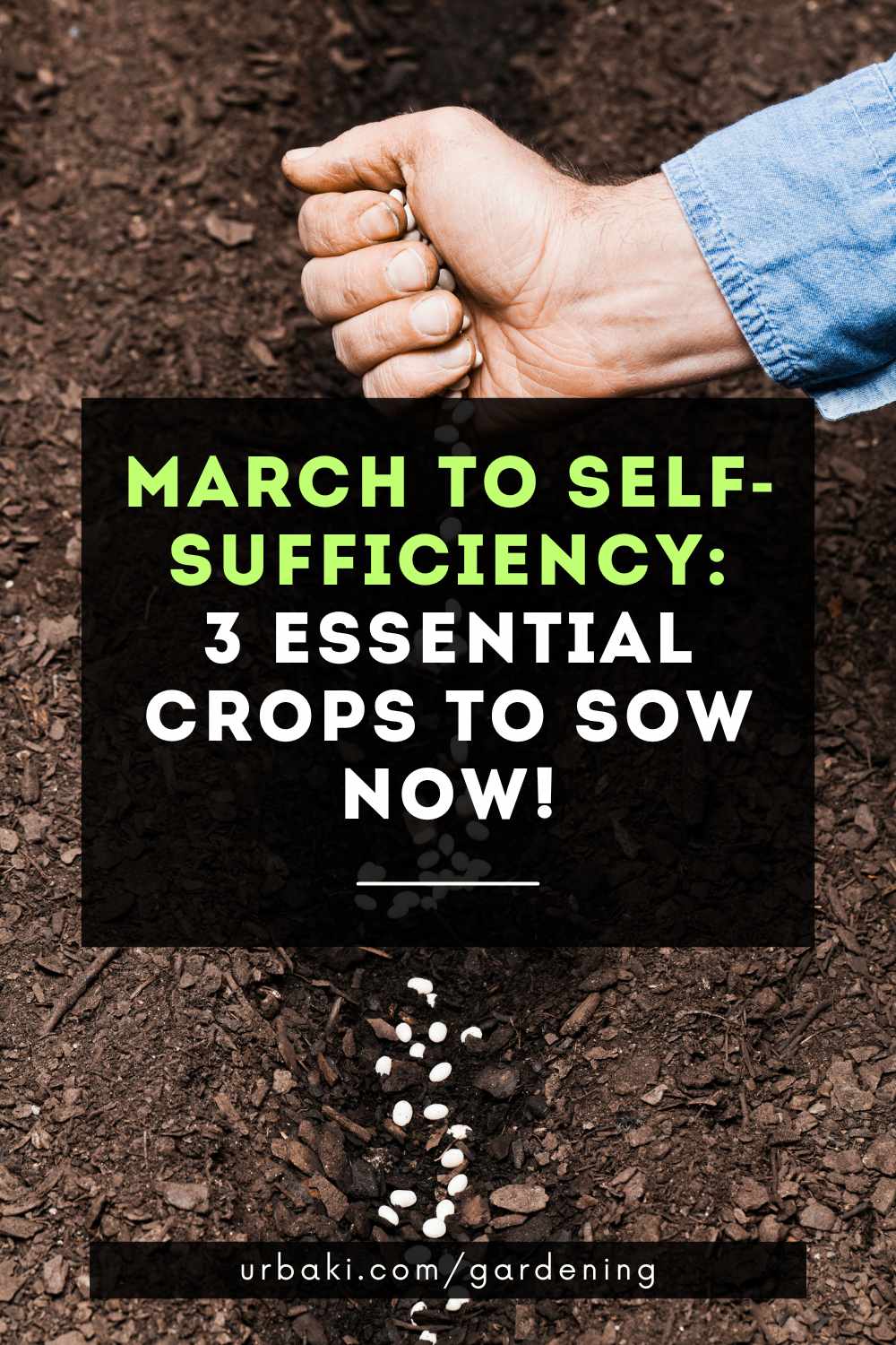 March To Self Sufficiency 3 Essential Crops To Sow Now