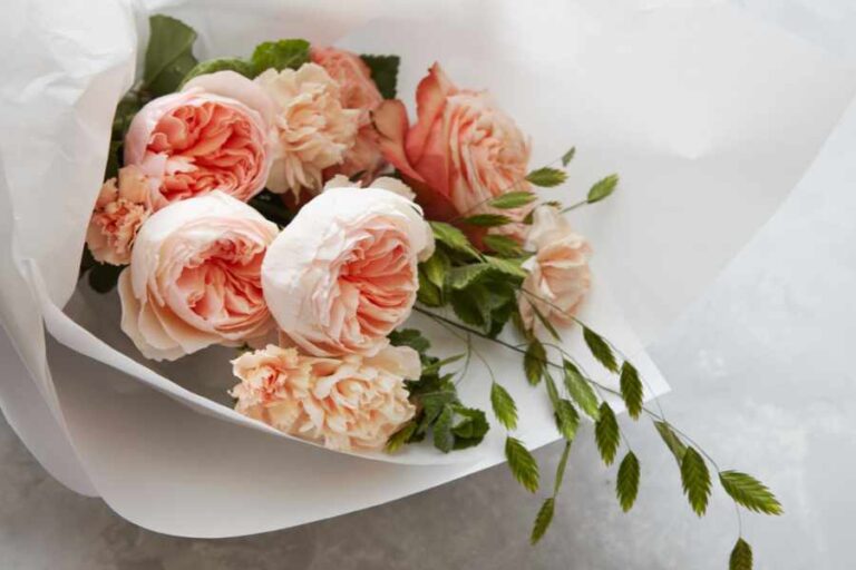 Grow Your Own Bouquets - Planning a Cut Flower Garden