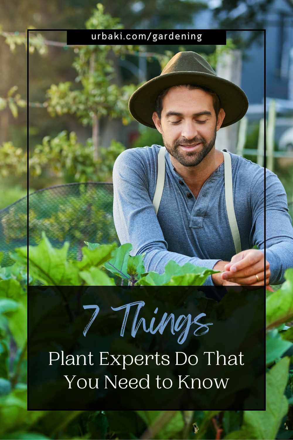 7 Things Plant Experts Do That You Need to Know