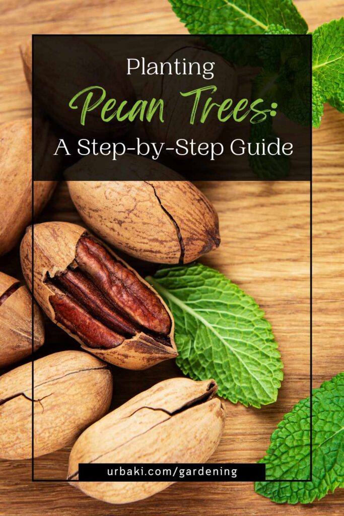 Planting Pecan Trees A StepbyStep Guide