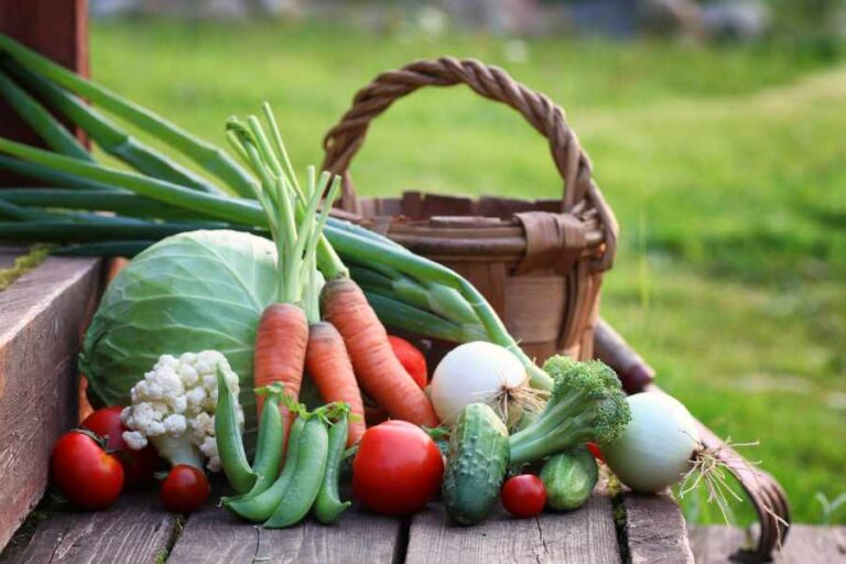 Maximizing Food Harvests on a Small Homestead