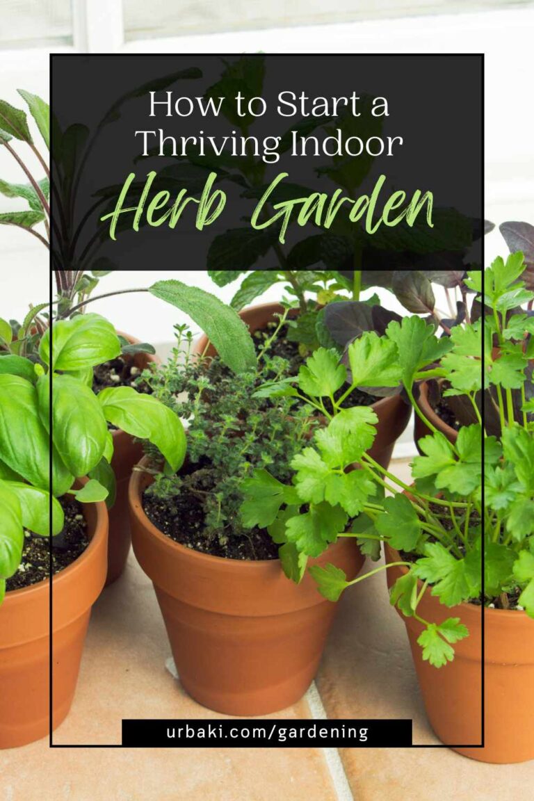 How to Start a Thriving Indoor Herb Garden