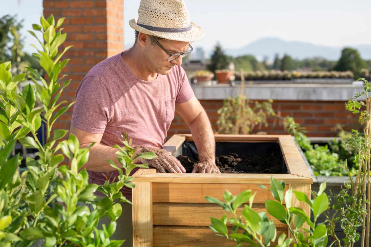 Best Tips for Filling Raised Beds the Right Way