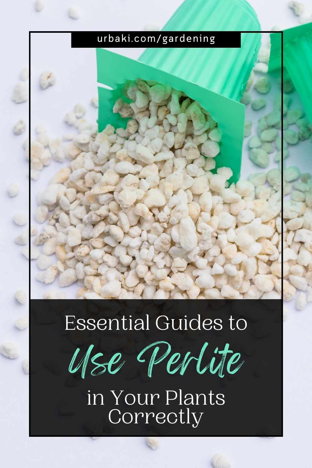 Essential Guide to Use Perlite in Your Plants Correctly