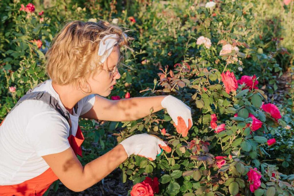 February Garden Prep - 10 Tasks for a Blooming Spring